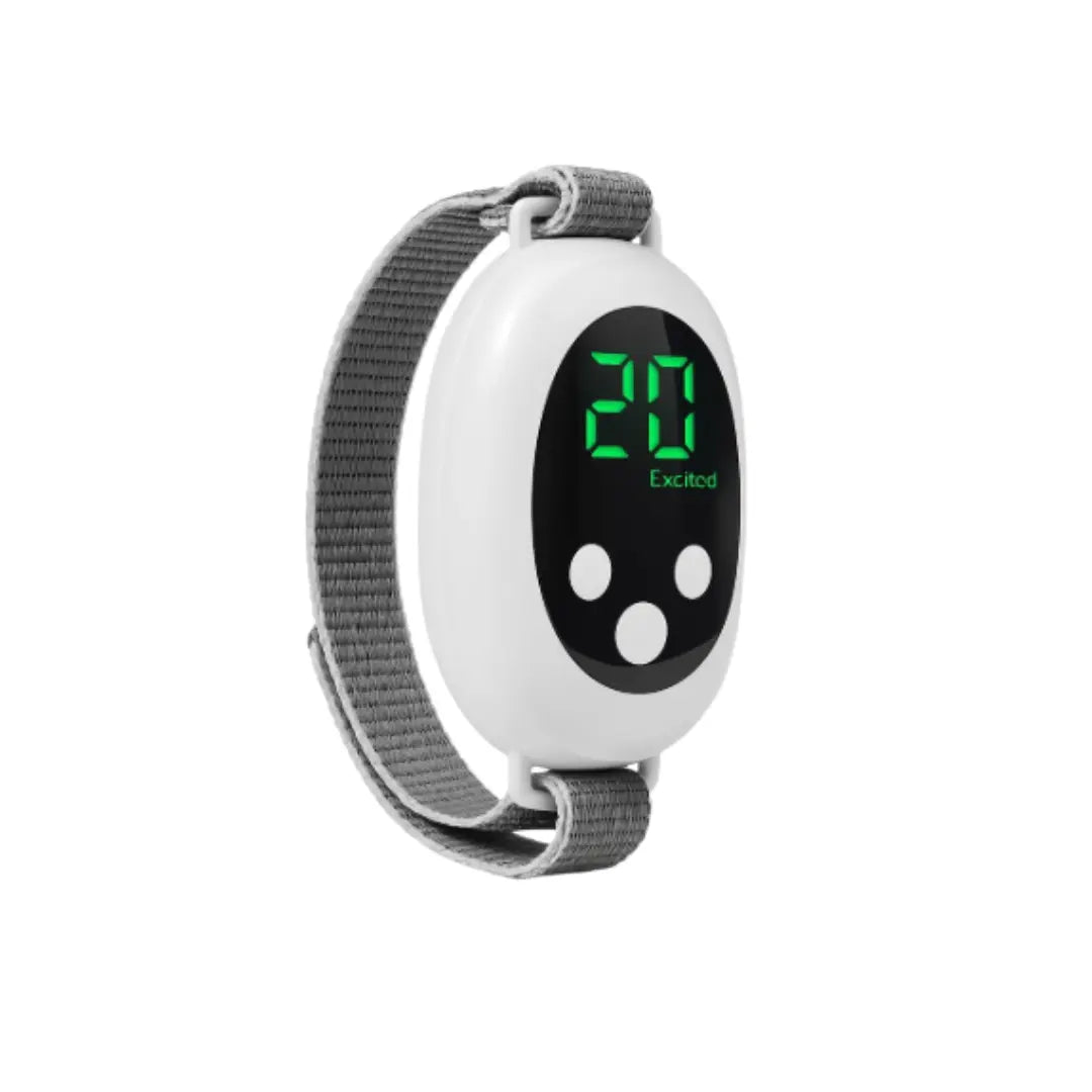 CalmaSphere™ | Tu bienestar, en la palma de tu mano. 🌿